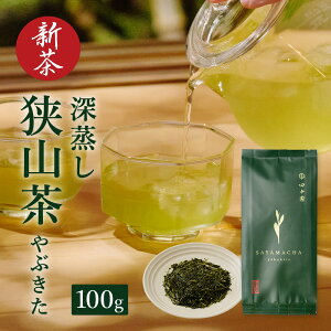 yVzc R Ԃ t (100g) { [  Β  Mtg