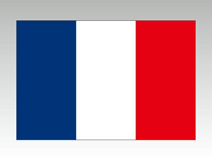 楽天市場 フランス 国旗 90 135cm エクスラン生地 アクリル100 外国旗 応援 会議 田中旗店