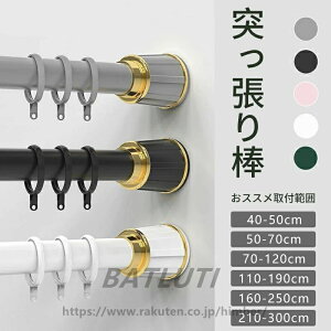 �J�[�e�������O�t���˂�����_ ���� �S5�F 6�T�C�Y �L�k�_ 40-50cm ~ 210-300cm ���ς�_ �������s�v �n���K�[���b�N ������ �J�[�e��