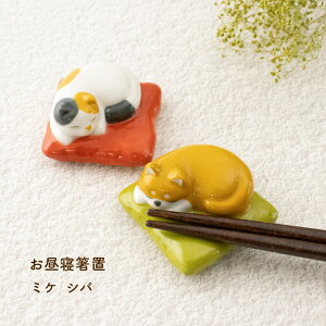 Qu ~P Vo 1yu Q Qp  ˂ O Č  l炵 v[g Mtg  JgLJtF hbOJtF HX  u CeA 킢  IuW