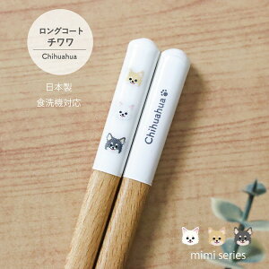 OR[g` H@Ή 1V mimiV[YyOR[g ` ObY { 23cm i` H@Ή VR R D ʕ  킢 JWA [֑Ή 