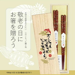 _^hV̓Mtg ˔2V  MtgZbgyhV̓v[g  Mtg El `H| ዷh cX ˔ H@Ή o  vw j yAMtg h