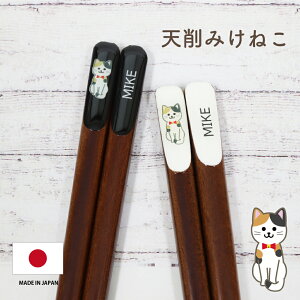 V݂˂ 1V 23.0cmyOєL ObY G ݂˂D Mtg v[g ig Vv Ƒ ЍHꐻ { cX 䂤pPbgΉz[M 1/20]