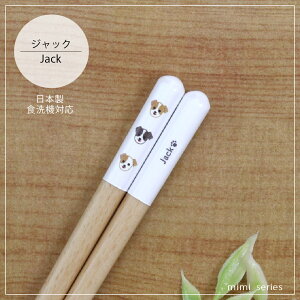 mimiV[Y WbN H@Ή 1VyWbN { 23.0cm i` cX H@Ή VR R  CkD  킢 JWA v[g Mtg a LO 䂤