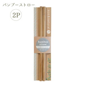 バンブーストロー 2P【エコ 天然素材 竹製 おしゃれ シンプル キッズ 介護 飲食店 コーヒー ティータイム カフェ レストラン 飲み物 ナチュラル キッチンツール 110円 お得 メール便対応 ゆう