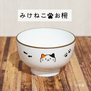݂˂ o 1y{ WΉ H@Ή `o o LObY LDƌq肽 LG ˂ Lb`  H Ƒ  Ȃ z