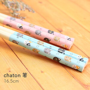 chaton  16.5cm u[ sN 1Vyq ǂ qǂ LbY ˂ L ObY G ݂˂ OєL v[g ǂH ӂg Vv   y  cX lR|X