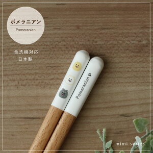 |jA H@Ή 1V mimiV[Yy|jA | ObY { 23cm i` cX VR R D  킢 JWA [֑Ή k 