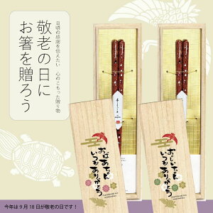 _^hV̓Mtg ˔1V  y23.0cm 21.0cm MtgZbg H@Ή  Mtg El `H| ዷh cX ˔   ArL j  ͂ { N v