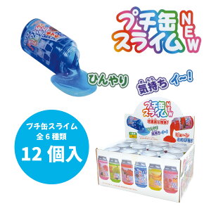 v`ʃXCNEW 12 S6 yʕP[X XC ii q qǂ  Ղ  p[eB[  ۈ牀 ct v[g HX Xgz