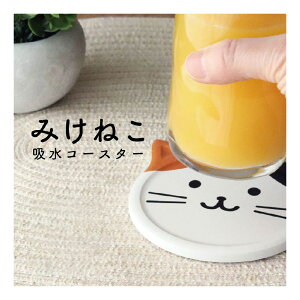 ݂˂zR[X^[yOєL G R[X^[ 킢 H  JtF zR[X^[ Lb` ObY zj a v[gz[M 1/4]