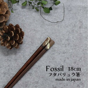 Fossil t^oE 18.0cm 1VyFossil  { 18.0cm ǂ q H ׂ~ ܂݂₷ g₷ K Vv i  _Ci\[ Ñ 䂤pPbgΉ [֑Ή 