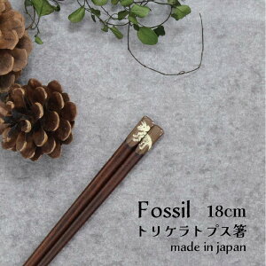 Fossil gPgvX 1VyFossil   { 18.0cm ǂ q H ׂ~ ܂݂₷ g₷ K Vv i  _Ci\[ Ñ 䂤pPbgΉ [֑Ή 