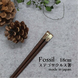 Fossil ステゴサウルス箸 18.0cm 1膳【Fossil 恐竜 日本製 18.0cm こども箸 子供箸 給食 すべり止め つまみやすい 使いやすい 練習 シンプル 骨格 骨柄 ダイナソー 古代 ゆうパケット対応 メール便対