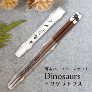 n[tP[XƔ̃Zbg Dinosaurs gPgvX 23.0cmy P[X n[tP[X  Zbg Ȃ  VGbg ٓ ` ^ GR ֗ v[g j