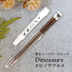 n[tP[XƔ̃Zbg Dinosaurs XsmTEX 23.0cmy P[X n[tP[X  Zbg Ȃ  VGbg ٓ ` ^ GR ֗ v[g j