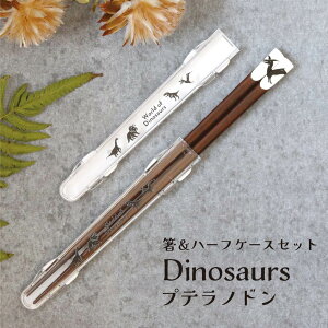 n[tP[XƔ̃Zbg Dinosaurs vemh 23.0cmy P[X n[tP[X  Zbg Ȃ  VGbg ٓ ` ^ GR ֗ v[g j 