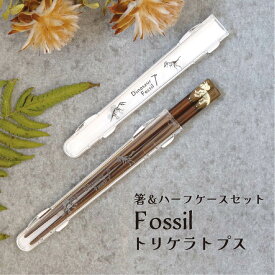 トリケラトプスの化石柄箸 ハーフケースと箸のセット Fossil 18.0cm【箸箱 お箸ケース ハーフケース 箸入れ 箸箱セット 落ちない 恐竜 シルエット 給食 お弁当 ランチ ピクニック 遠足 持ち運び エコ プレゼント お祝い 入学祝い 新生活】[M便 1/4]