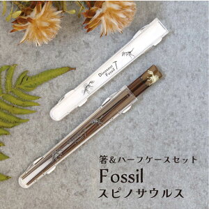 XsmTEX̉Ε n[tP[XƔ̃Zbg Fossil 18.0cmy P[X n[tP[X  Zbg Ȃ  VGbg H ٓ ` sNjbN  ^