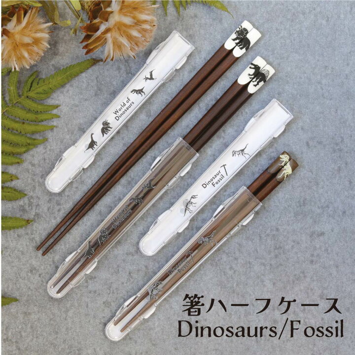 楽天市場】恐竜箸 ハーフケース Dinosaurs/Fossil（食洗機対応）【箸箱 