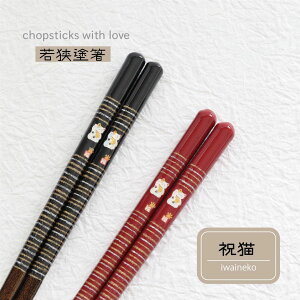 cX jL 1V 23.0cm 21.0cm H@Ήy{ ዷh L J^ObY LObY   ͂ H Ƒ [֑Ή 킢   ԁz[M 1/20]