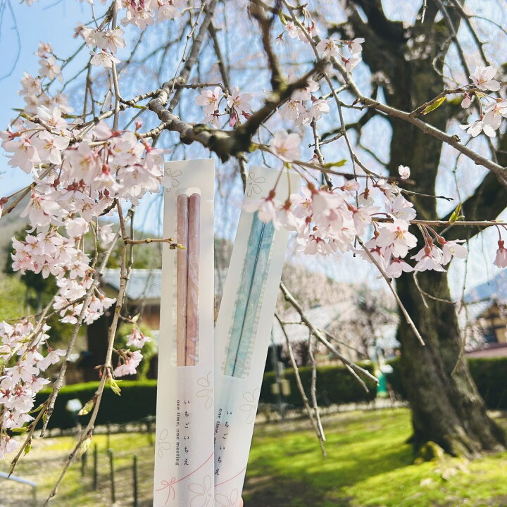 楽天市場】いちごいちえ 美麗桜 食洗機対応箸 1膳【貝ちらし 空 桃 