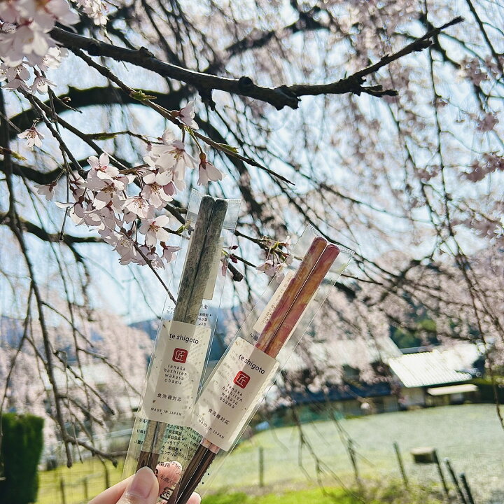楽天市場】食洗機対応箸 SORA-空 1膳【日本製 箸 お箸 若狭塗箸 