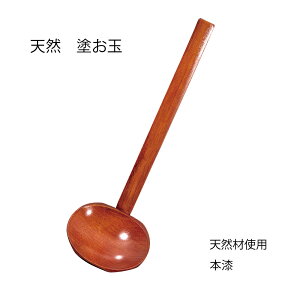 VRނ̓h 1yVR  Jg[ { h Lb`ObY Lb`pi 痿 ~  aH a H HX l炵 V 19.0cm 220~z