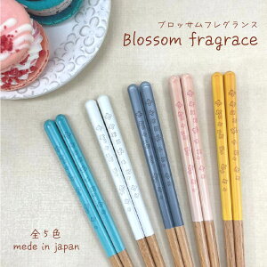 ubTtOX  ubTV[Y 1VyH@Ή { ԕ  Vv V l炵 ͂ JtF Xg HX v`Mtg j z