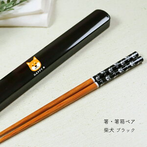 EyA Č ubNyyA |  Č ʕ 킢 ` ObY H  sNjbN ^ }C GR Vv V i` Zbg [֑Ήz[M 1/4]