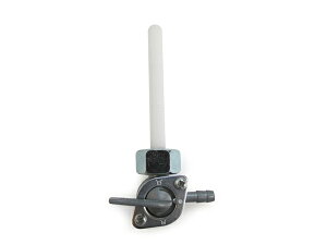 RRbNA@-@Ѓ^NpcL[cyNbN|Xgsz