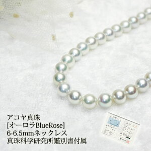 yAR^zI[BlueRose6-6.5mmlbNX ^Ȋwӕʏtyzy^@p[z