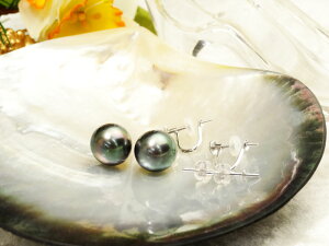 y^zIׂI^@11mm̃COorsAXK14WG yzy^@p[zyVo[zy`^z