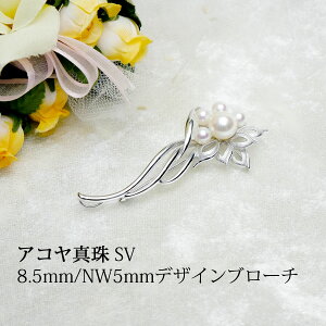 yAR^zSV 8.5mm/NW5mmfUCu[`yzywzyƁzyՁzylzy^@p[zylR|Xւ܂z