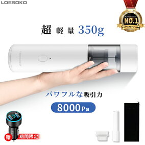 楽天市場 カークリーナー 車載掃除機 人気ランキング1位 売れ筋商品