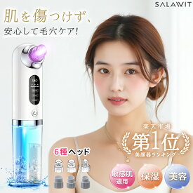 【楽天1位受賞 今だけ300円OFF→3680円！】 毛穴ごっそり！ 毛穴吸引器 美顔器 保湿 毛穴ケア 6種類ヘッド 水流式 3段階 毛穴クリーナー 敏感肌適用 いちご鼻 黒ずみ 角栓 除去 顔 エステ 皮脂 肌の悩み スキンケア 美肌 水流 防水 引き締め 誕生日 プレゼント
