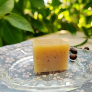 �y�労�ӍՃ|�C���g10�{�z1000�~ �������� ������������ �a�َq�̂悤�� �a�َq�₳�񂪍�������Y���������� �I�[�K�j�b�N �R�[���h�v���Z�X �����Ϗ` �������ȕ� �ō��� �y�b�g�ɂ� ���s 