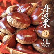 3L 生栗 丹波栗 【送料無料】栗 国産 和栗 新栗 高級 大きい栗 大粒 X 500g 栗お土産 栗スイーツ ご当地…