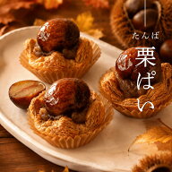 丹波栗 栗パイ 敬老ギフト【送料無料】 2個入 国産 デザート 冷凍食品 渋皮煮 だんご パイ 2セット(4個)/…