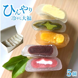 冷たい ひんやり スイーツ 冷やし大福 夏季限定 5種類 5個入 ラズベリーミルク 抹茶 日向夏みかん カスタード 塩こしあん【5個】冷凍食品 お菓子 和菓子 お取り寄せグルメ 詰め合わせ プチギフト 手土産 カフェ