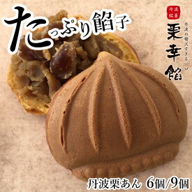 和菓子 栗の形 たい焼き 大判焼き 回転焼き 今川焼 栗幸餡(くりこうあん) 高級丹波栗あん 6個入/9個入【栗あん】冷凍食品 お菓子 スイーツ 低脂質 タンパク質補給 どら焼き 国産 ご当地スイーツ プチギフト 手土産 お取り寄せグルメ