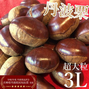 _10/1()ȍ~͂^yzI OgI I Y aI VI  傫I 嗱 3L 500g IyY IXC[c nO  10{܂ł̌̔I