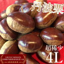 4L 生栗 丹波栗 新栗 ＼10/1順次お届け／【送料無料】栗 大粒 稀少 500g 国産 和栗 高級 大きい栗 栗お土産 栗スイー…
