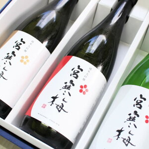 Mtg { ݔ {~ ݂₩΂ {錧 ~ 720ml×3{Zbg Mtg