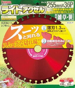 ACEbh `bv\[ CgANZ255mm×36P 10@@ @p ᑬ]