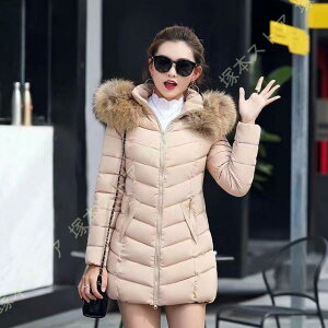 OR[g RpNgɎ[ y _EWPbg _ER[g  h ۉ y t[ht_E fB[X y  O _ER[g