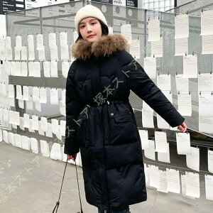 _ER[g fB[X O AE^[ t@[t[ht aC   VGbg GKg i  y JWA ʋ h h