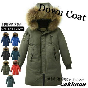 _ER[g LbY q j̎q AE^[ _EWPbg _ER[g O ʊw LbY h WjA ~ ʉ LbY hۉʔQ WPbg