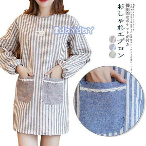 Gv B ۂ  [NGv fB[X  Ɩp XbN ۈm HX s[X 킢