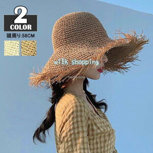 Xq fB[X uv Xq ܂ t  傫 nbg ΍L  VRf 2022